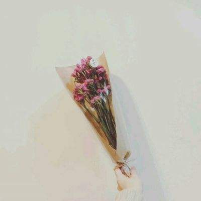 航海大作战手游下载